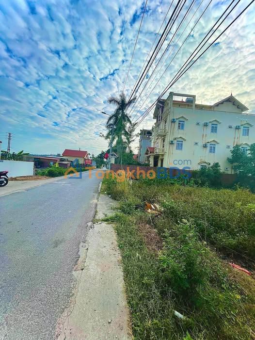 Đất nền An Phán, Chí Linh - 130m² Mặt tiền 5m, Hướng Đông Nam, Giá Tốt