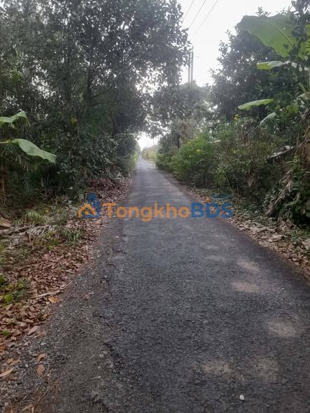 Đất nền Khánh Thuận U Minh 1.000m² 20 triệu/m - Sổ đỏ chính chủ