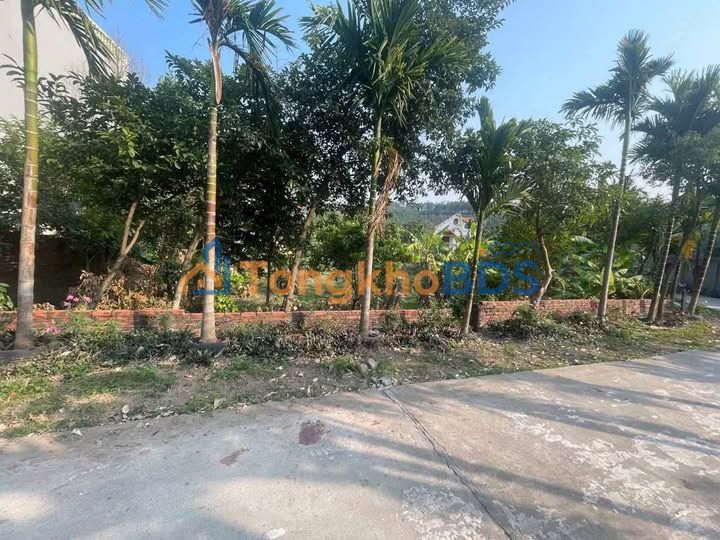 Đất nền An Sinh Đông Triều 111-150m² 400tr - Sổ đỏ chính chủ