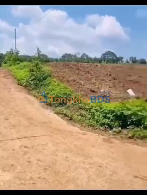 Đất nền Lâm San Cẩm Mỹ 1.667m² 1,65 tỷ - Sổ đỏ chính chủ