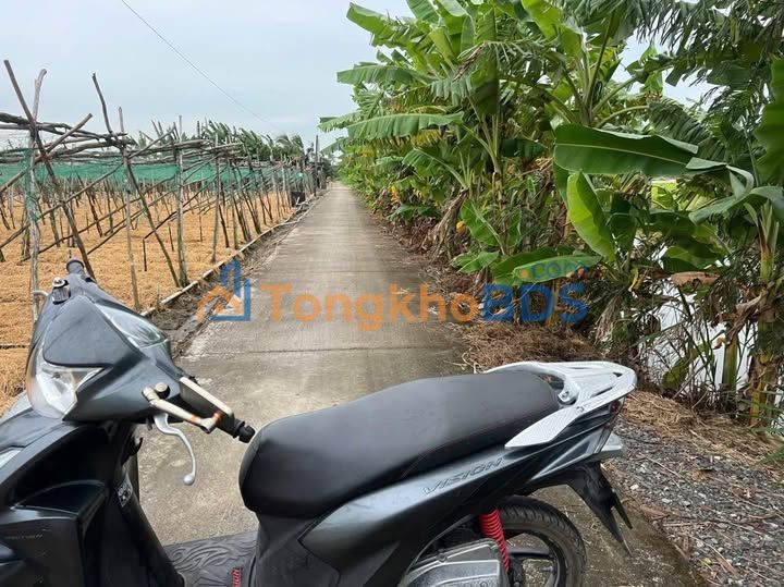 Đất Tân Điền Gò Công Đông 145m² 349tr - Giá đầu tư tốt