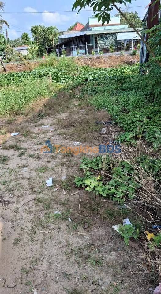 Đất nền Cái Môn Cao Lãnh 115m² 550 triệu - Đất thổ cư