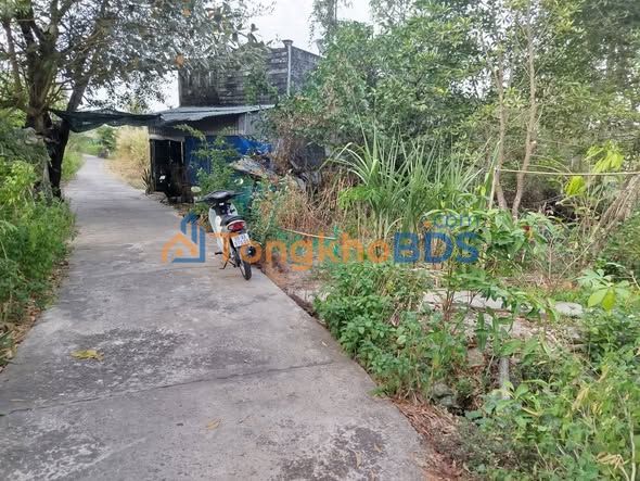 Đất nền Phường 8 Bạc Liêu 250 triệu - Sổ đỏ chính chủ