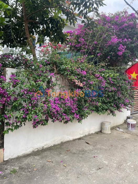 Đất nền Trung Sơn cũ Tam Điệp 109m² 1.5 tỷ – Sổ đỏ chính chủ