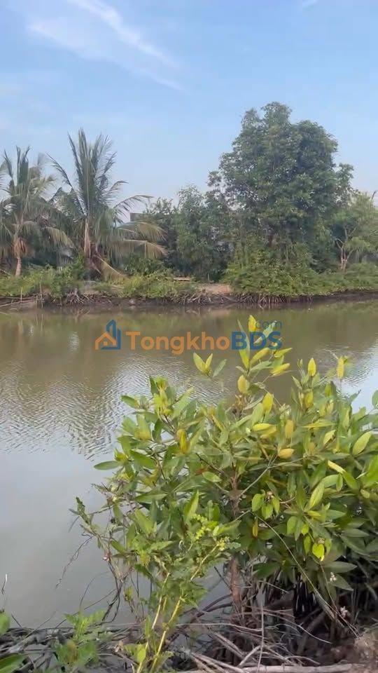 Đất Khóm 8 Sông Đốc 1.500m² 3,3 tỷ - Sổ đỏ chính chủ