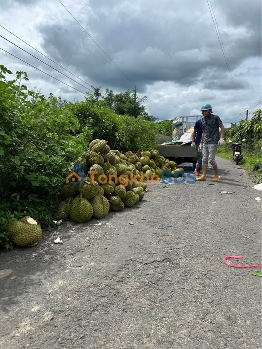 Đất thổ cư Đức Trọng 100m² - Sổ đỏ chính chủ, giá 700 triệu