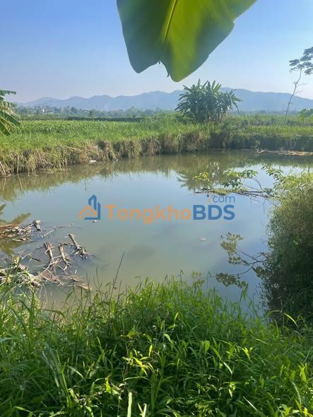 Đất Vườn 1500m² Thanh Sơn, Phú Thọ - Sổ Đỏ Thổ Cư, Sẵn Sàng Xây Nhà Vườn