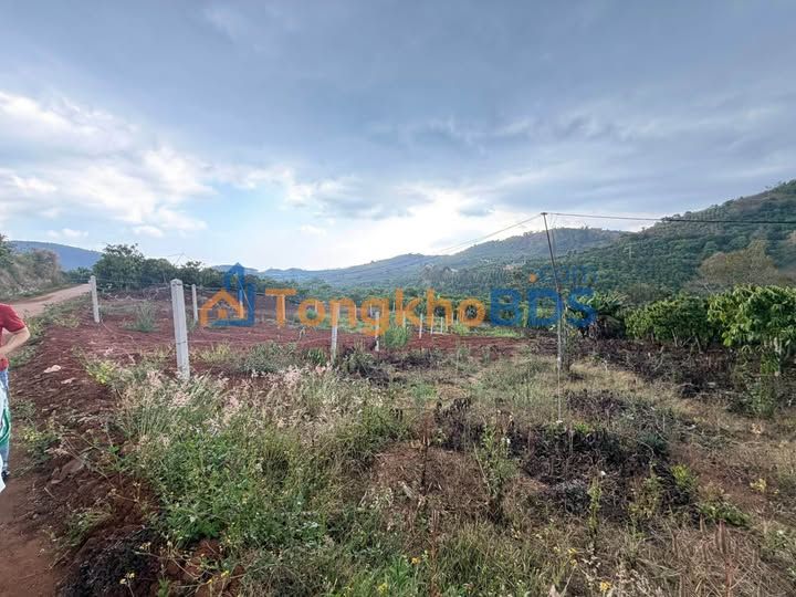 Đất nền Nam Ban Lâm Hà 244m² - Sổ riêng, view thoáng, giá 649 triệu