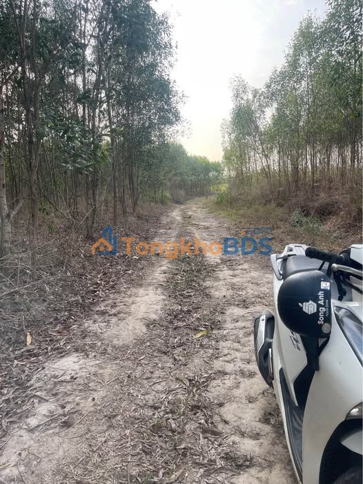 Đất Xuân Trường Xuân Lộc 22.160m² 3.12 tỷ - Pháp lý rõ ràng