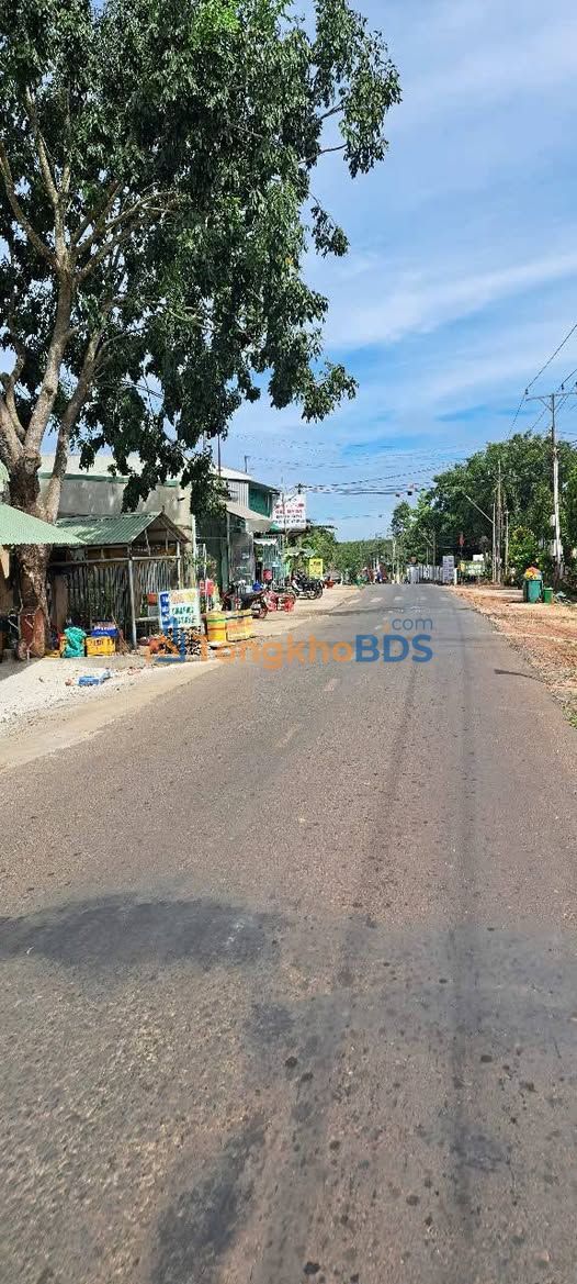 Đất nền Tân Hòa Tân Châu 5.040m² - Sổ đỏ chính chủ