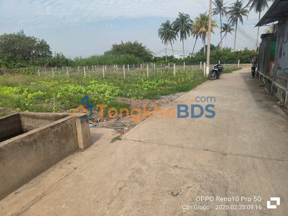 Đất Vườn 500m² Cần Giuộc - Sổ Đỏ Sẵn Sàng, Giá Đầu Tư 1.6 Tỷ