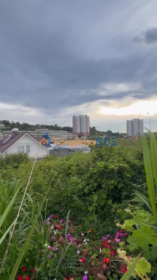 Đất nền Nguyễn Hoàng P7 Đà Lạt 100m² 3.8 tỷ - Sổ đỏ chính chủ