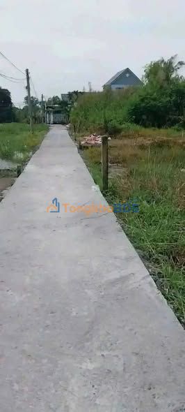 Đất Thổ Cần Giuộc 250m² - Sổ Hồng Riêng, Gần Chợ Mỹ Lộc Giá 930 Triệu