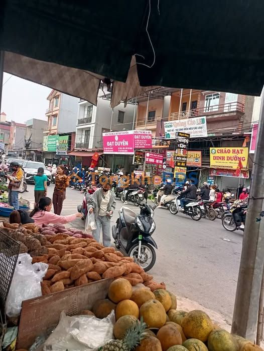 Đất Đông Tiến Yên Phong 90m² 100-199 tỷ - Sổ đỏ