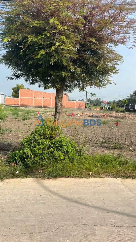 Đất nền Trần Văn Nghĩa Long Hậu 130m² 1.69 tỷ - Sổ đỏ chính chủ