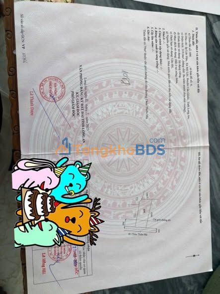 Đất Mỹ Lộc Cần Giuộc 312m² giá 2.3 tỷ - Sổ đỏ chính chủ