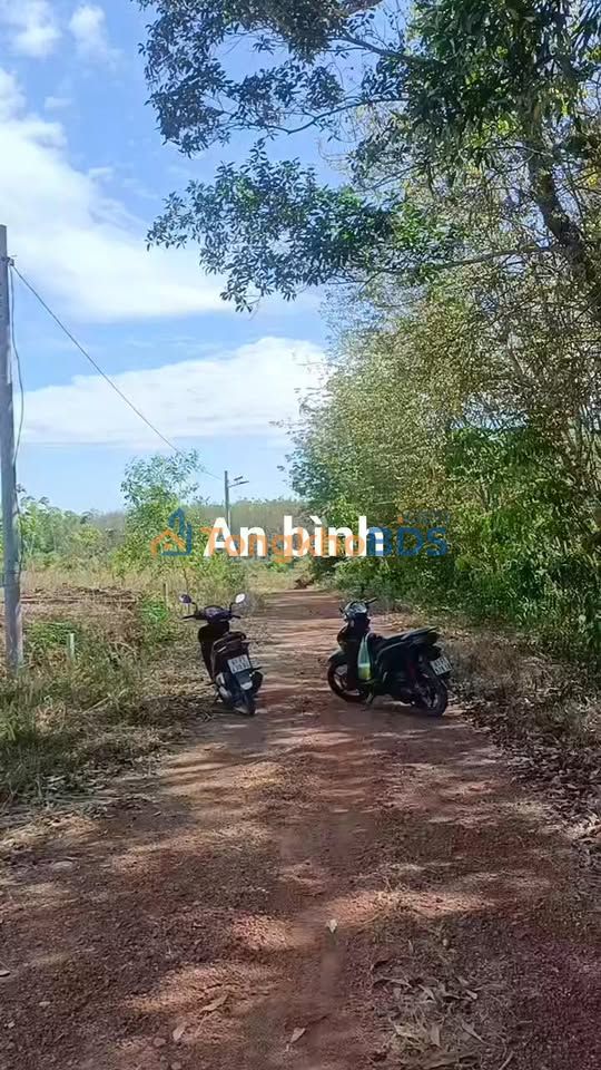 Bán Đất Vườn Phú Giáo 2500m² - Sổ Riêng, Mặt Tiền 16m - Giá 1.35 Tỷ