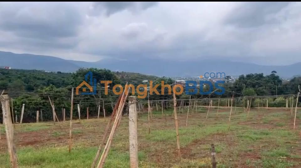 Đất nền Nam Ban 517m² 1.29 tỷ - Giá F0 CĐT