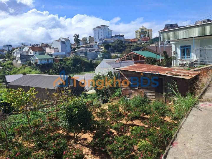 Đất Hùng Vương P10 Đà Lạt 88m² 1.25 tỷ - Đường to ô tô