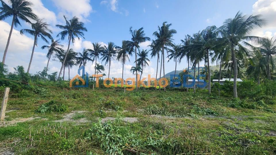 Đất nền Nhơn Lý Quy Nhơn 150m² 500-599 triệu - Đường to ô tô