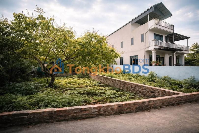 Đất nền Hải Bối Đông Anh 68m² 2 tỷ - Tiềm năng tăng giá