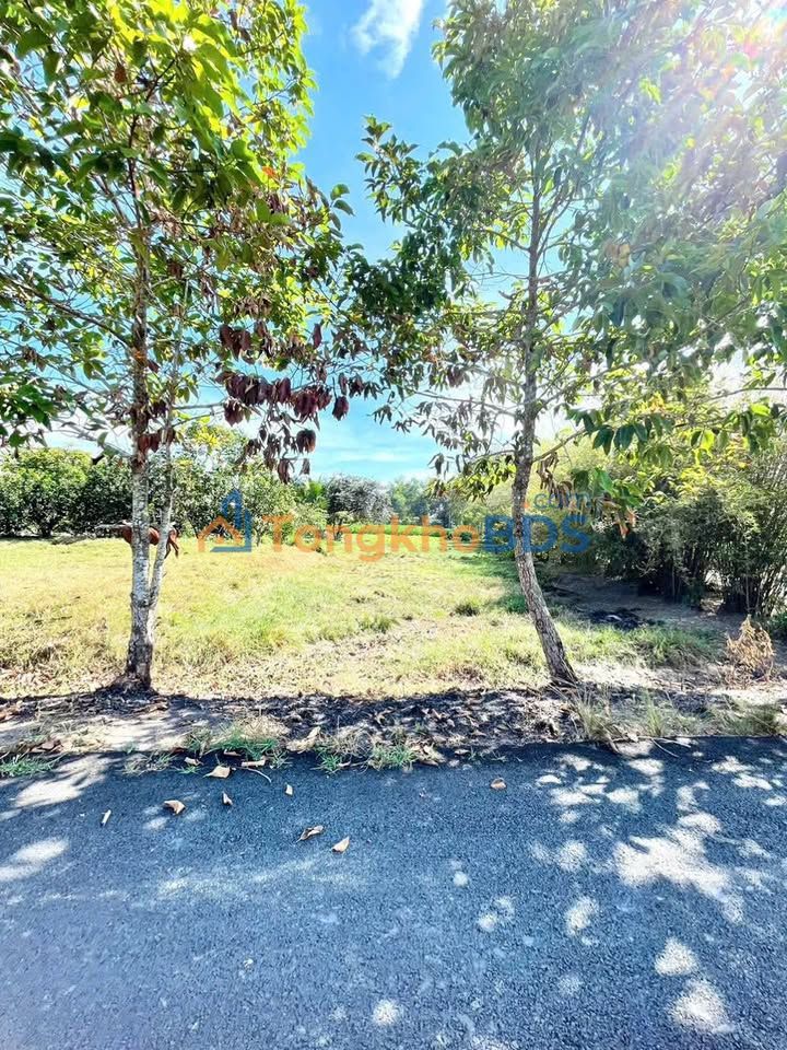 Đất nền Trung Lập Thượng Củ Chi 511m² 2.4 tỷ - Sổ đỏ chính chủ