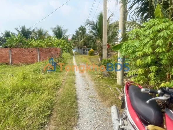 Đất nền Hòa Khánh Đông Đức Hòa 192m² 720 triệu - Đất thổ cư 100%