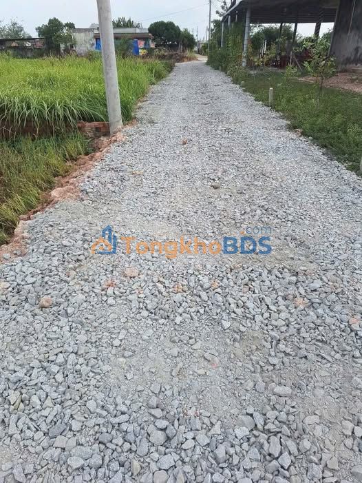 Đất nền Hòa Khánh Đông 110m² 550 triệu - Tiềm năng tăng giá