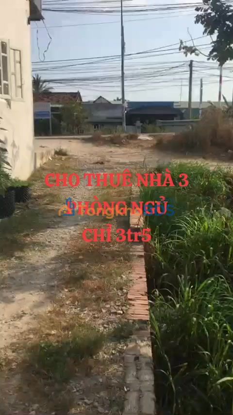 Nhà cấp 4 Đức Hòa Hạ 3PN 3.5 triệu - Sẵn sàng ở ngay