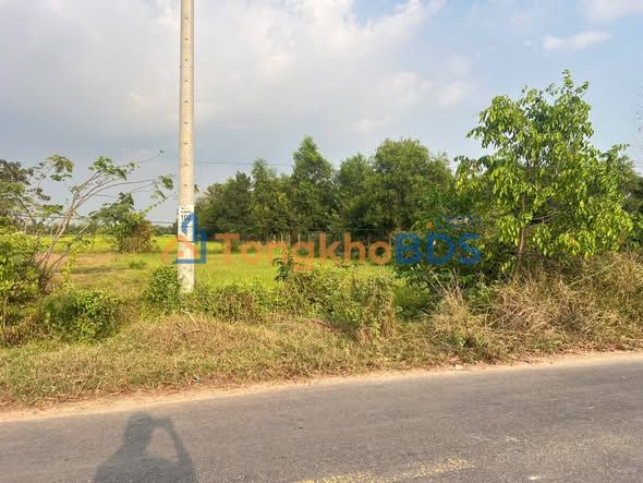 Đất An Thuận, Đức Hòa 615m² giá 200tr/m - Sổ đỏ chính chủ