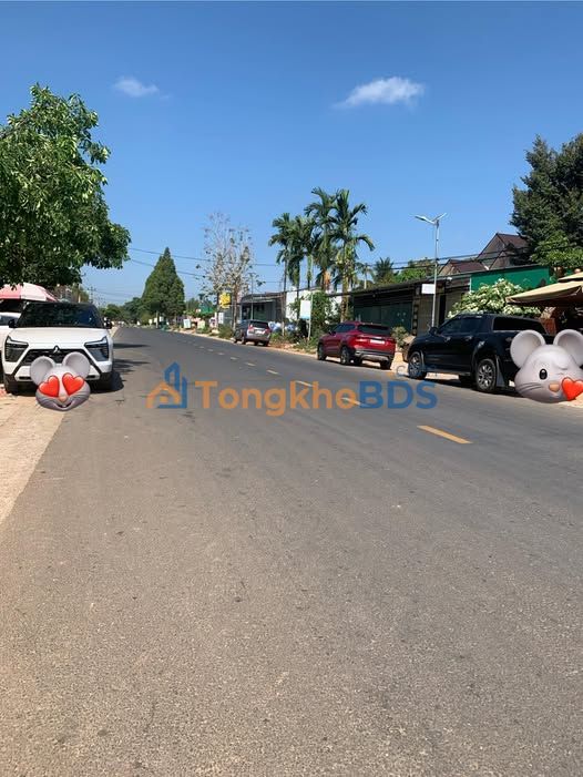 Đất nền Nam Xuân Krông Nô 256m² - Sổ đỏ chính chủ