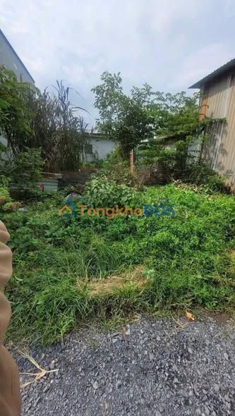 Đất thổ cư Long Hiệp, Bến Lức 73m² - Giá F0 chỉ 550 triệu