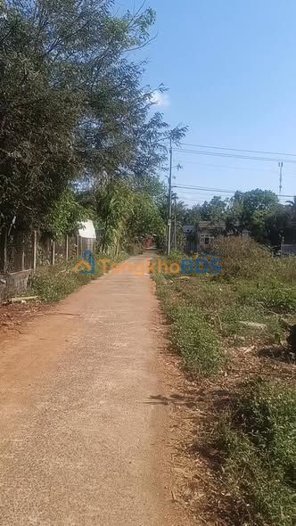 Đất nền Tân An Buôn Ma Thuột 150m² 34.5 tỷ - Tiềm năng tăng giá