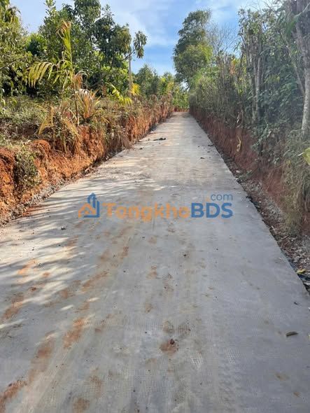 Farm Ea Ral Đắk Lắk 1.2ha giá 5 tỷ - Sẵn sàng tiếp quản kinh doanh nông nghiệp