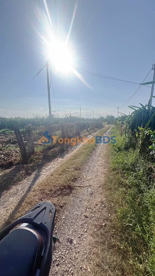 Đất nền Phan Thiết 500m² giá 2 tỷ - Sổ đỏ chính chủ