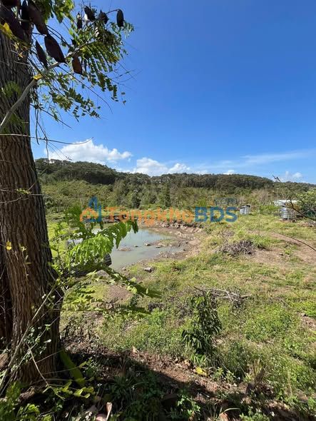 Đất nền Mai Thị Lựu Ea Tam 5.880m² 18 tỷ - Sổ hồng riêng