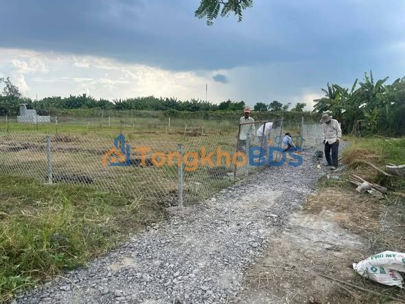 Đất lúa Phước Hậu 1.169m2 900 triệu - Pháp lý rõ ràng