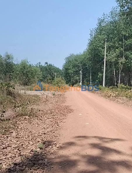 Bán Gấp Đất Vàng An Bình 22, Thuận An - 330m² Sổ Riêng, Giá 950 Triệu