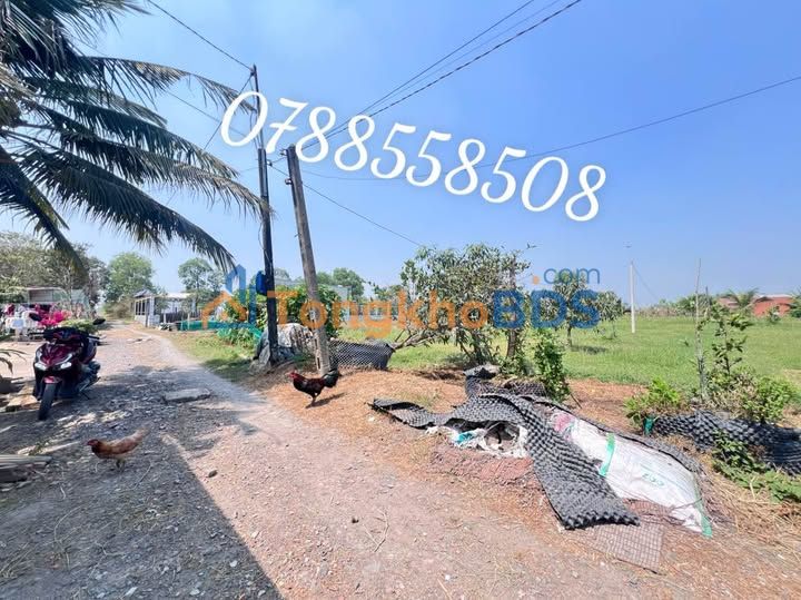 Bán Gấp Đất Nền Đức Hòa 250m² - Giá Ngộp 890 Triệu/Lô