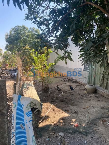 Đất Nền Mặt Tiền Kênh Xáng AB, Chợ Mới, An Giang - 168m² Thổ Cư, Giá 370 Triệu