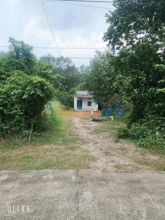 Farm Phước Vĩnh DT741 325m² giá 870 triệu - Đầu tư dài hạn