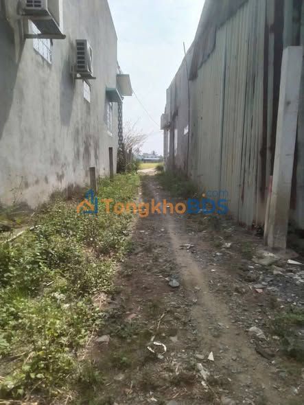 Đất nền Cần Giuộc 72m² 400 triệu - Tiềm năng tăng giá