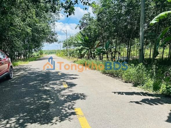 Đất DH519 Phú Giáo 1.8k m² hơn 3 tỷ – Sổ đỏ chính chủ, xây theo ý