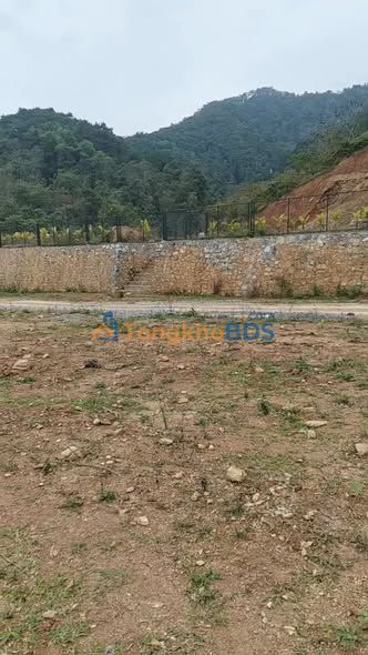 Đất nền Hà Giang Nhà Thi Đấu 1ha 7 tỷ - Sổ đỏ chính chủ