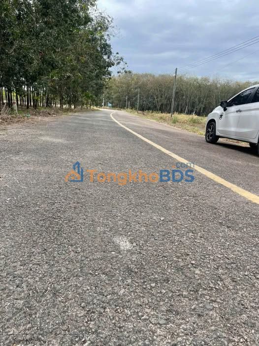 Đất nền DH 519 Phước Sang 250m² - Sổ đỏ chính chủ