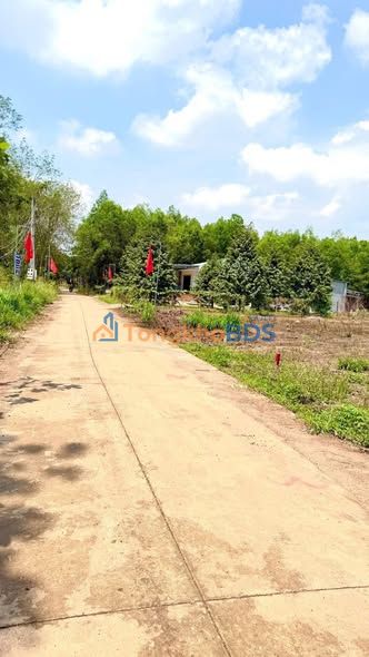 Đất nền An Thái Phú Giáo 5x50m giá 550tr - Sổ đỏ chính chủ