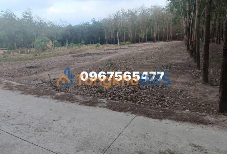 Đất nền An Linh Phú Giáo 165m² 495 triệu - Đường to ô tô