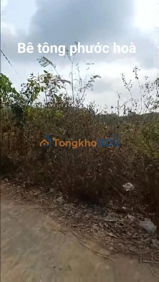 Đất nền Phước Hòa Phú Giáo 280m² 100 triệu - Sổ đỏ chính chủ