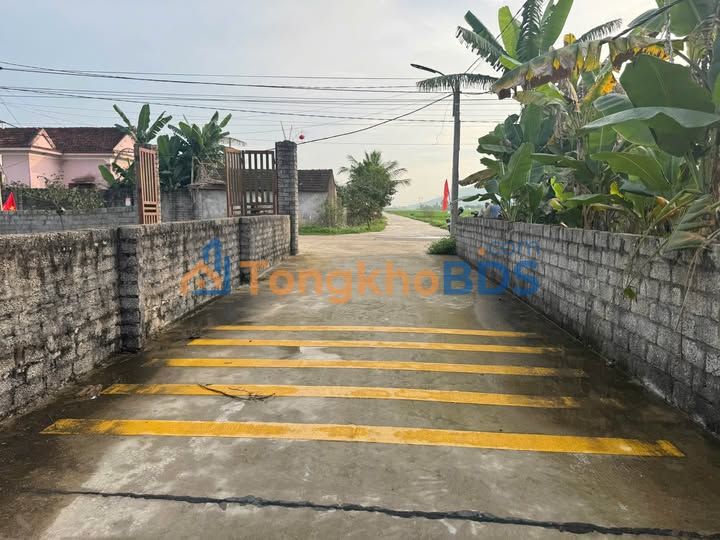 Đất nền 338m² Diễn Yên, Nghệ An - 2 Mặt Tiền, Giá Đầu Tư