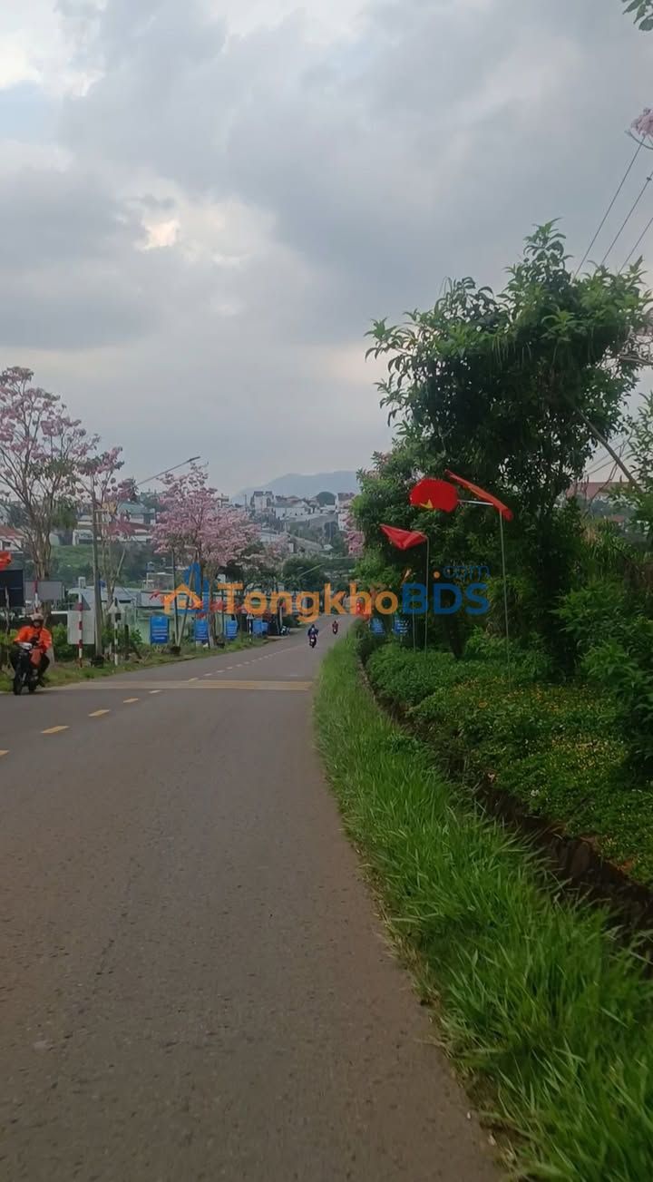 Đất nền Tôn Thất Thuyết Bảo Lộc 2.520m² - Đường ô tô